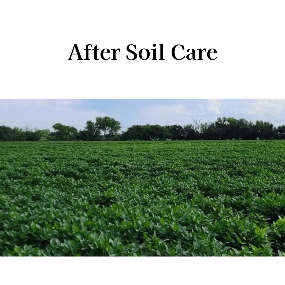 after soil care