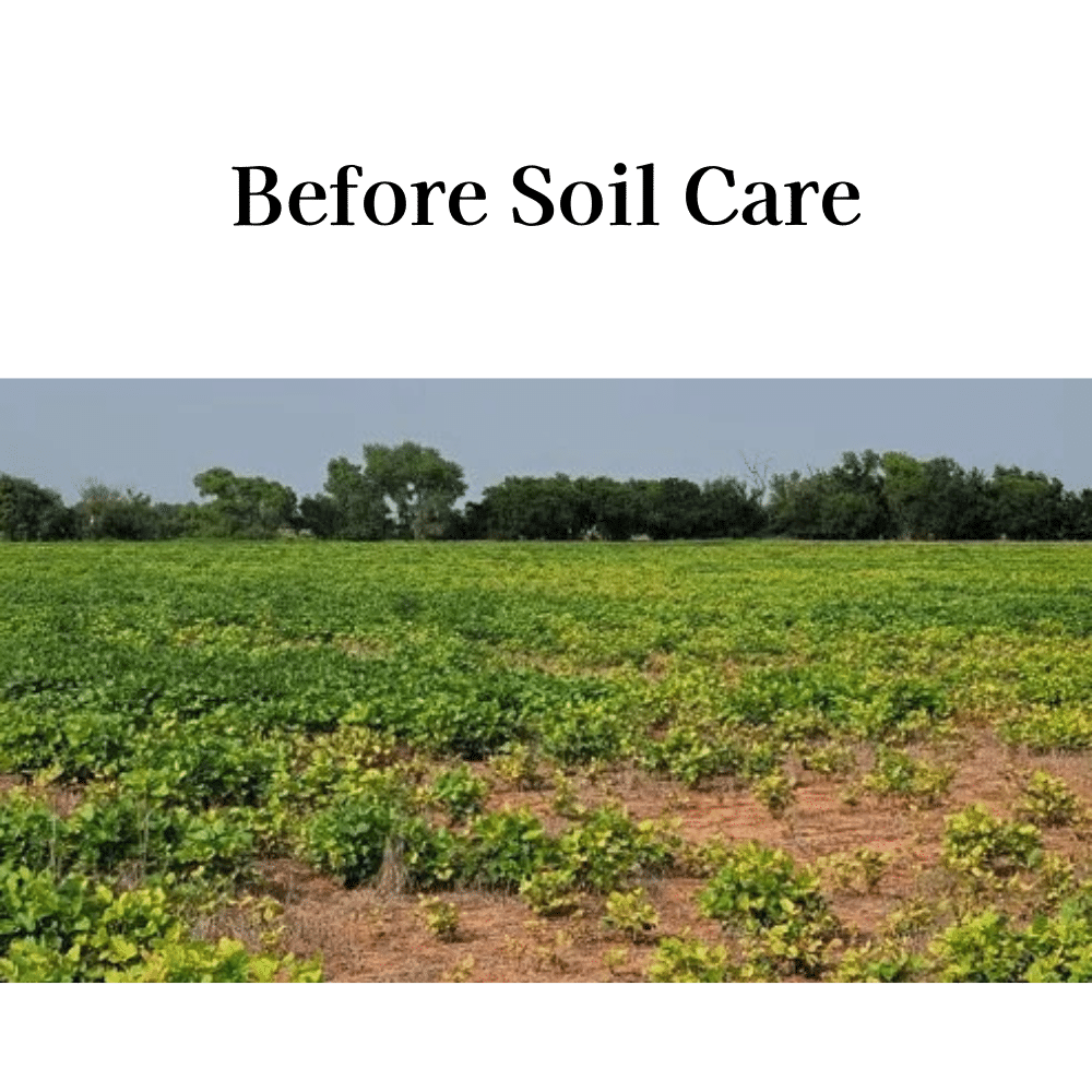 before soil care