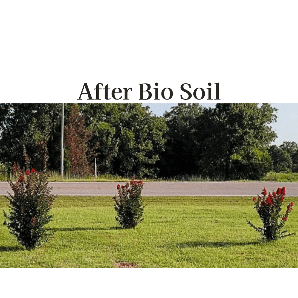 bio soil after