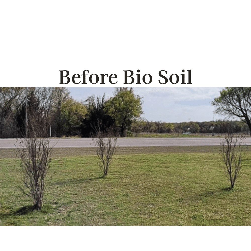 bio soil before